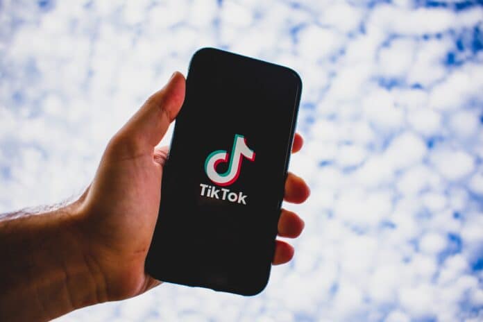 tiktok followers