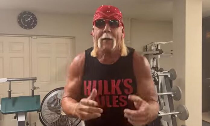 Hulk Hogan Net worth