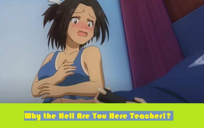 Why the Hell Are You Here Teacher