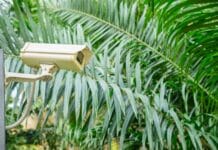 Protect Your Premises with a Thermal Imaging Infrared Camera