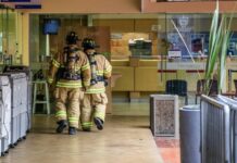 How to Choose the Right Webbing Material for Fire Protection How to Choose the Right Webbing Material for Fire Protection