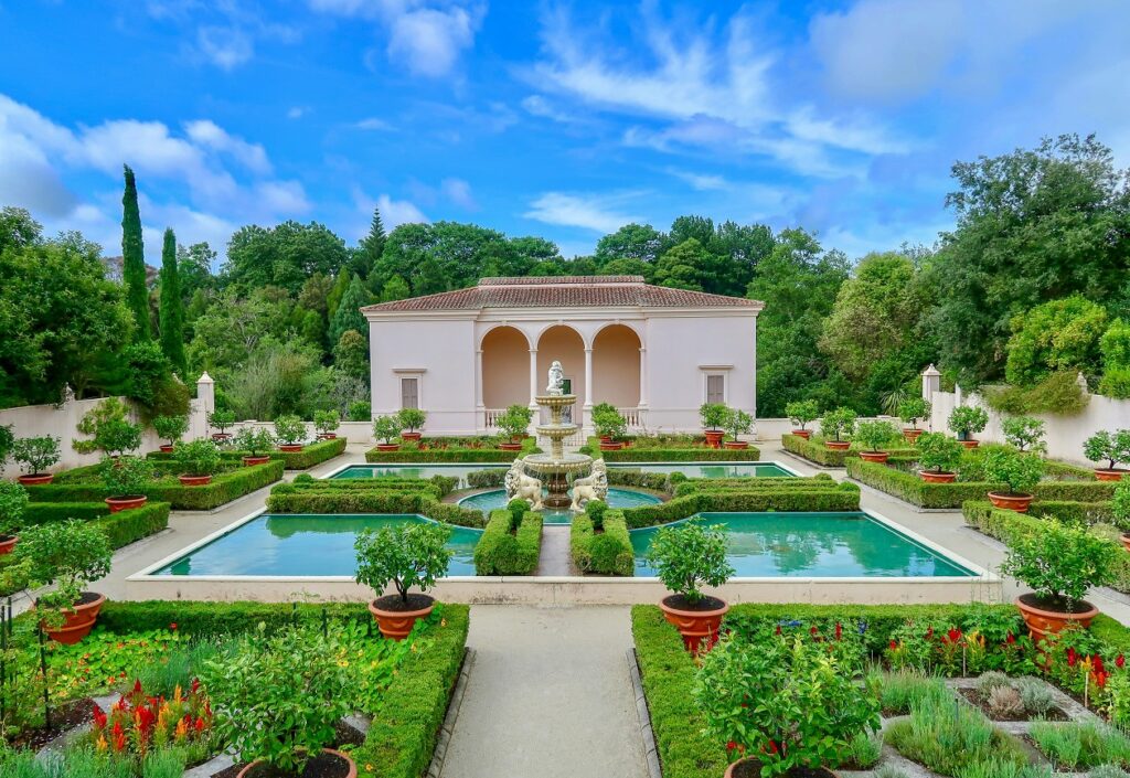 Dream Garden