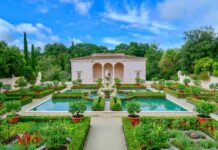Dream Garden