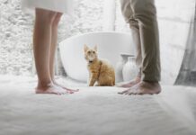 Divorce in the Modern Age