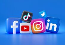 Social Media Follower Base