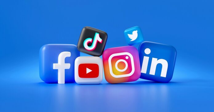 Social Media Follower Base