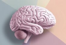 Somatosensory Cortex