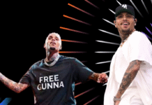 Chris Brown Net Worth