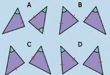 Which Pair of Triangles Can Be Proven Congruent by SAS?
