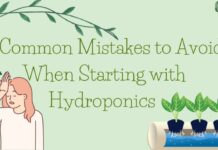 Hydroponics