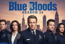 Blue Bloods Season 14: Erin’s Death and the Shocking Truth Blue Bloods Season 14