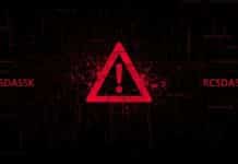 Software Error RCSDASSK