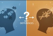 Understanding the Key Differences Between Alzheimer’s and Dementia Alzheimer's and Dementia