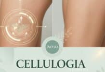 Cellulogia: How It Works, Benefits & Importance Cellulogia
