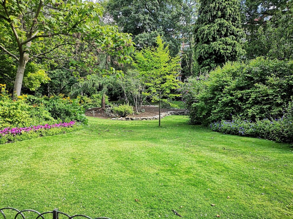 Moss Thrives in Your Lawn