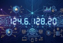 124.6.128.20: Meaning, Mystery, and Applications 124.6.128.20