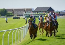 How Online Platforms Changed the Way Fans Follow Horse Racing Horse Racing