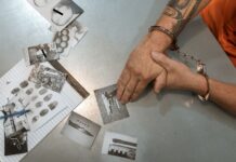 Criminal Background Check