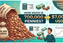 How Much Is 700,000 Pennies? The Full Breakdown 700,000 Pennies