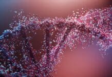 Top 5 Biotechnology Companies Supporting Modern Laboratory Research Biotechnology