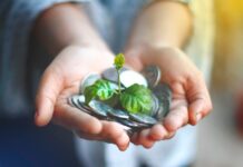 wealth management